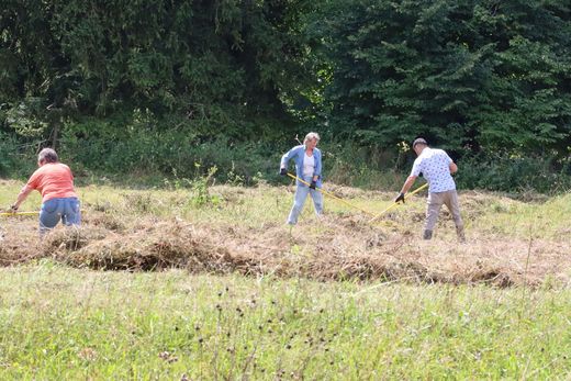 Mähen der Rothwiesen 2025