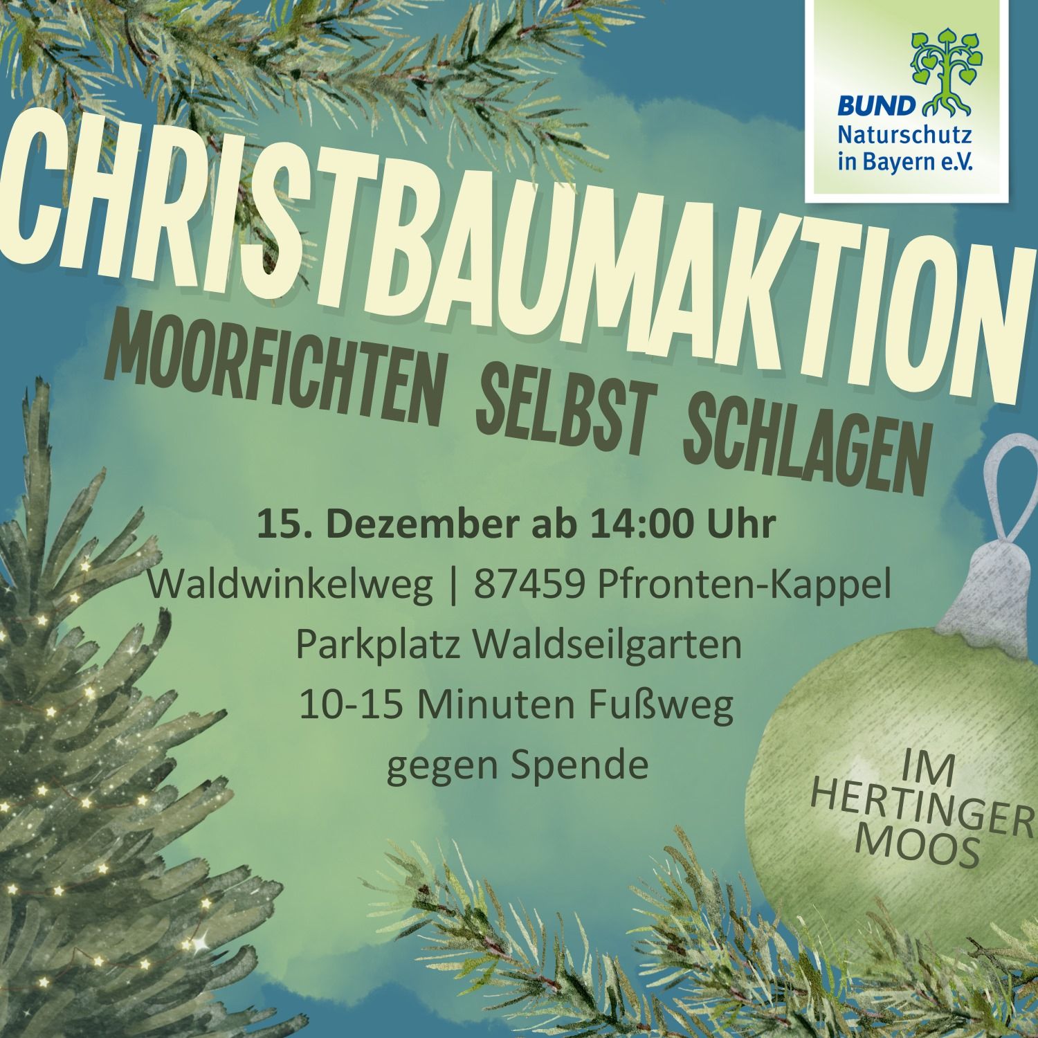 Informationen zur Christbaumaktion 2024